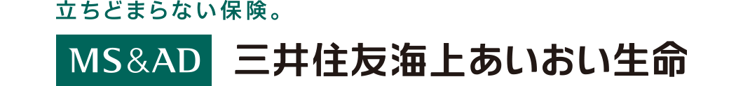 �O��Z�F�C�゠�����������ی�